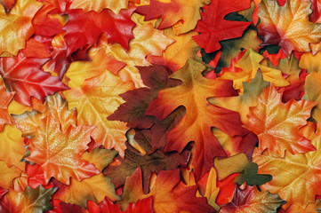 Naklejka na ściany i meble fake colorful fall leaves