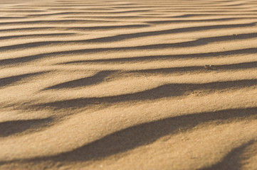Wahiba Desert Oman
