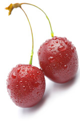 sweet cherry with water drops isolated