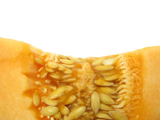 Melon close up macro