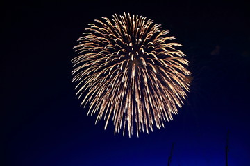 花火　夜の花