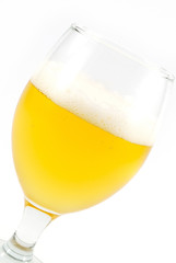 beer isolated on white