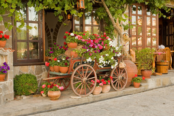 Fototapeta na wymiar Koszyk Ox z kwiatami w Wielkim Tyrnowie Bułgarii