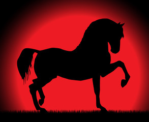 The Spanish stepping horse