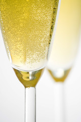 champagne for celebrate christmas festive