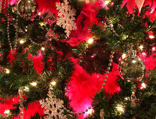 Close up of a Christmas Tree.