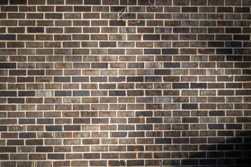 Fototapeta premium Bricks Background