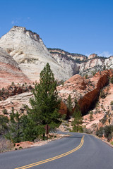 Road into Zion Canyon