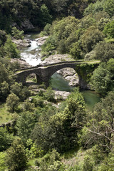 Fototapeta na wymiar stary kamienny most