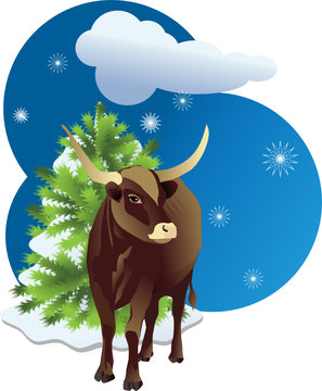 Symbol of new year the bull.Vector illustration