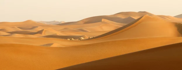 Selbstklebende Fototapete Sandige Wüste Wüstenwanderer