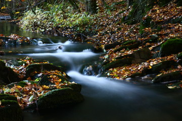 Fototapeta na wymiar stream in autumn