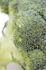 Brokoli Detailaufnahme