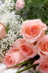 Pink Roses