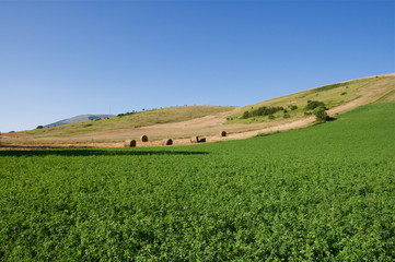 Obraz premium Paesaggio umbro