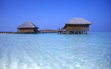bungalows meeru island