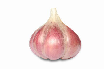 Fototapeta premium garlic