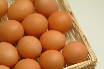 Vielzahl brauner Eier