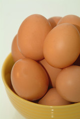 Vielzahl brauner Eier