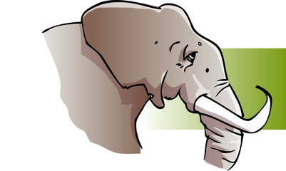 elephant tete