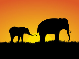 Fototapeta na wymiar Elephants at Sunset