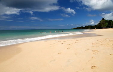 Fototapeta na wymiar Karaibów plaża z 2