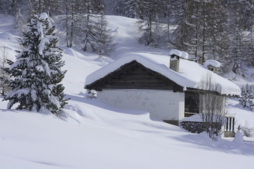 Winter in Maloja