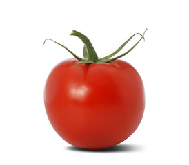 Tomato isolated