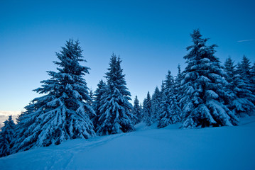 Naklejka premium neige belledonne