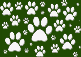 dog´s footprint