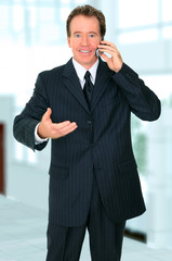 Senior Businessman Talking On The Phone And Making Gesture