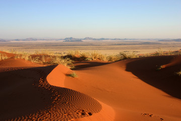Namibie - Dune Elim au couchant 2