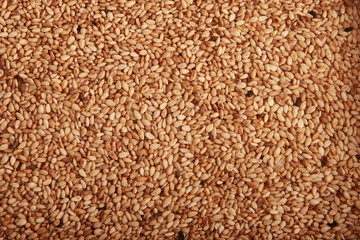sesame seeds
