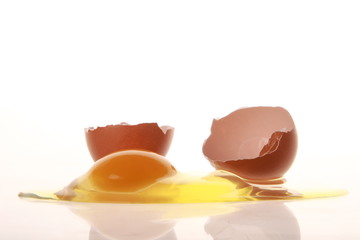 broken egg