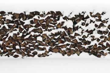 sawn wood under snow