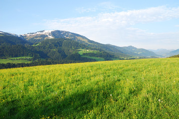 Austrian Alps