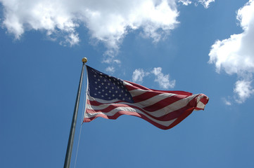 Flag in the breeze