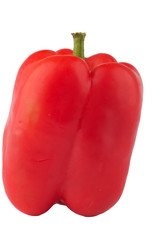 red paprika pepper isolated on white