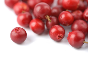red billberries isolated