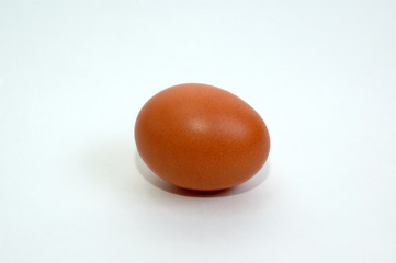 Egg.