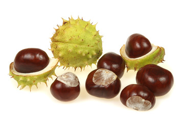 Chestnuts