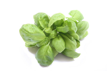 sweet basil