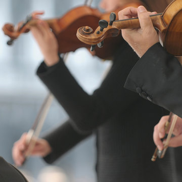 Violin players during an outdoor exhibition