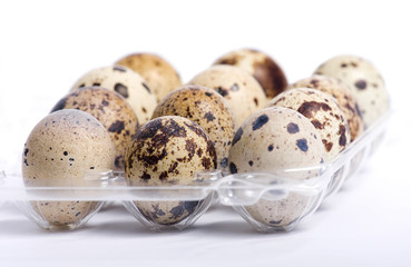 Obraz premium Quail eggs in the plastic box
