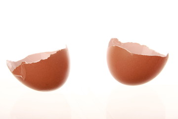 egg shell