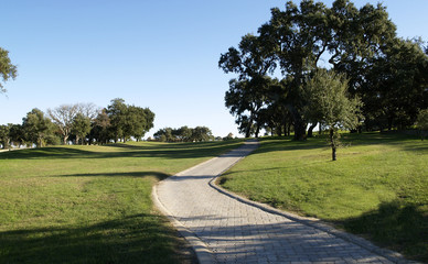 Camino del Golf