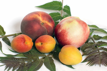 Naklejka na ściany i meble Peach, apple, apricots and leaves. Close up