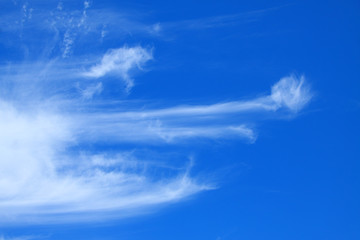 ciel bleu avec quelques nuages diaphanes