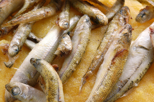 Alborelle con polenta alle patate - Antipasti di pesce Trentino