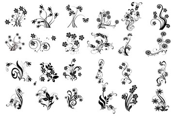 multifloral noir et fleurs